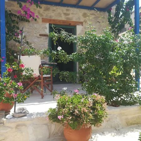 Kritikies Lasea Pitsidia Exterior foto