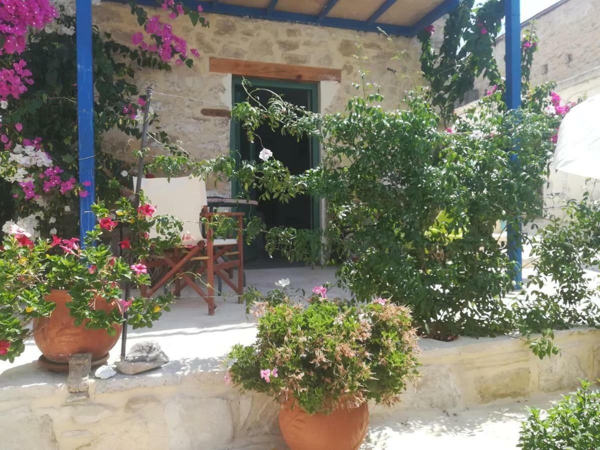 Kritikies Lasea Pitsidia Exterior foto